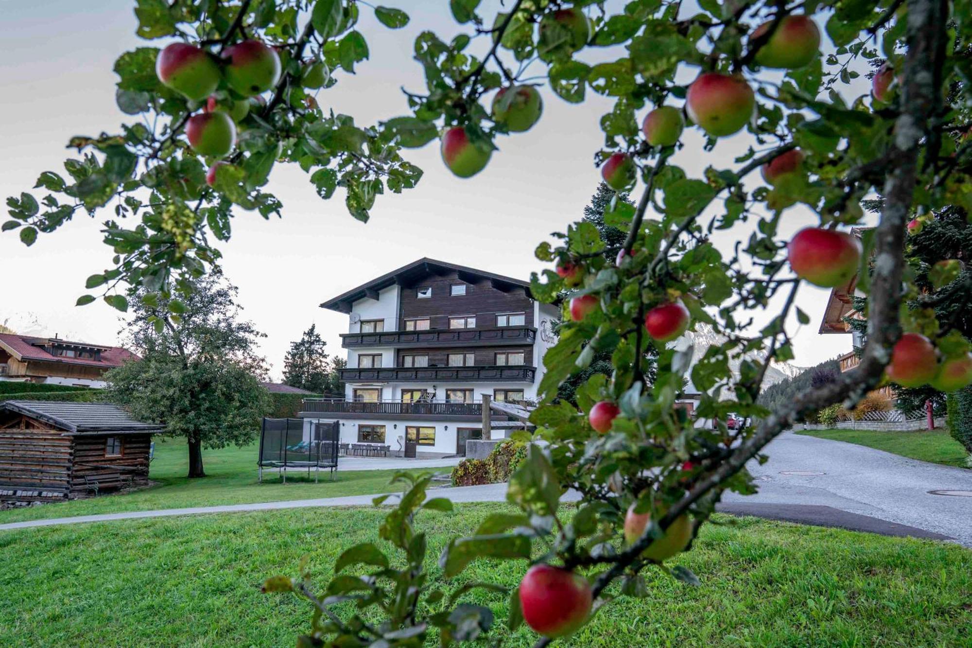 Ferienwohnungen Monja Und Dietmar Thoeni Arzl im Pitztal Buitenkant foto